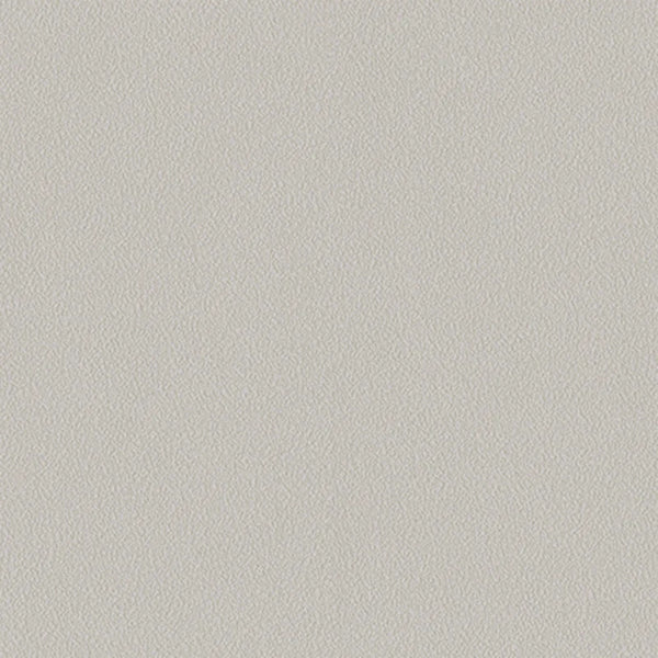 Light Beige Wallpaper, Rich Textured Wallcovering, Traditional, White Light Color,Washable