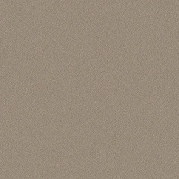 Sandstone Brown Wallpaper, Natural Mocha Wallpaper, Modern & Minimalist Wall Covering,Modern Look Neutral Colors Glittering Wallcovering