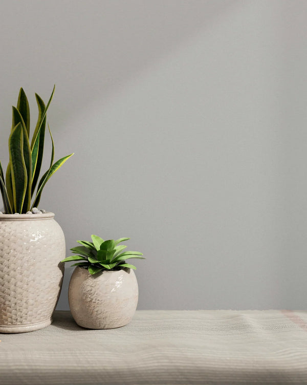 Soft Grey Wallpaper, Textured Wallpaper,Natural Wallpaper, Modern & Minimalist Wall Covering,Modern Look Neutral Colors Glittering Wallcovering