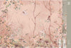 Birds Trees Nature Scene Wallpaper, Tropical Botanical Wall Mural, Pink Customized Wallpaper, Home Decor, Bedroom, Store, Forest Large Wall Art - Adawall Wallpaper - Registered Trade Accounts Only, Wallpaper Wholesale Account - A305-2 - Adawall Wholesale - Wallpaper Wholesaler