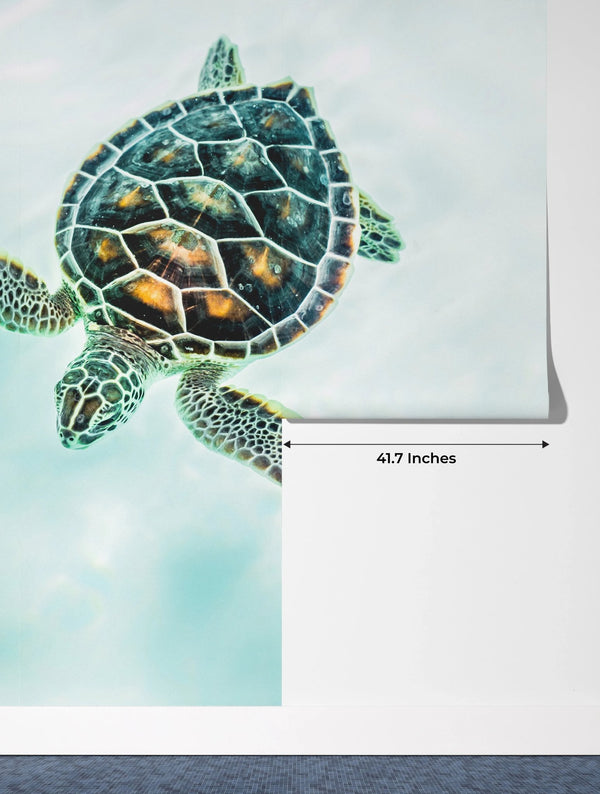 Cute Baby Turtle Wallpaper, Turquoise Water Mural, Oversized Custom Size Wall Art, Non - Woven, Non - Adhesive, Modern Wall Paper, Removable - Adawall Wallpaper - Registered Trade Accounts Only, Wallpaper Wholesale Account - W77611 - Adawall Wholesale - Wallpaper Wholesaler