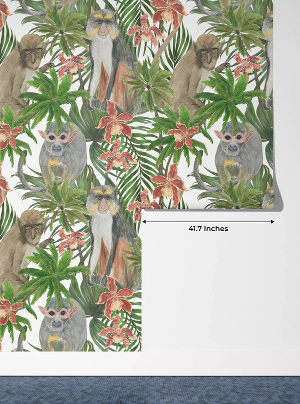 Cute Monkey Wallpaper, Seamless Pattern Mural, Oversized Custom Size Wall Art, Non - Woven, Non - Adhesive, Modern Wall Paper, Removable - Adawall Wallpaper - Registered Trade Accounts Only, Wallpaper Wholesale Account - W77810 - Adawall Wholesale - Wallpaper Wholesaler