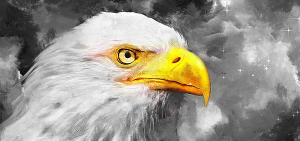 Eagle Wallpaper, Oil Painting Mural, Oversized Custom Size Wall Art, Non - Woven, Non - Adhesive, Modern Wall Paper, Removable - Adawall Wallpaper - Registered Trade Accounts Only, Wallpaper Wholesale Account - W78166 - Adawall Wholesale - Wallpaper Wholesaler