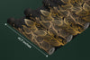 Exotic Golden Leaves Wallpaper, Seamless Pattern Mural, Oversized Custom Size Wall Art, Non - Woven, Non - Adhesive, Modern Wall Paper, Removable - Adawall Wallpaper - Registered Trade Accounts Only, Wallpaper Wholesale Account - W78059 - Adawall Wholesale - Wallpaper Wholesaler