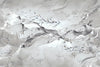 Fish Wall Mural, White Japan Koi Pond Fish Wallpaper, Elegant Abstract Stone Wall Covering, Removable, Modern, Non - Pasted, Stylish - Adawall Wallpaper - Registered Trade Accounts Only, Wallpaper Wholesale Account - FJ320-2 - Adawall Wholesale - Wallpaper Wholesaler