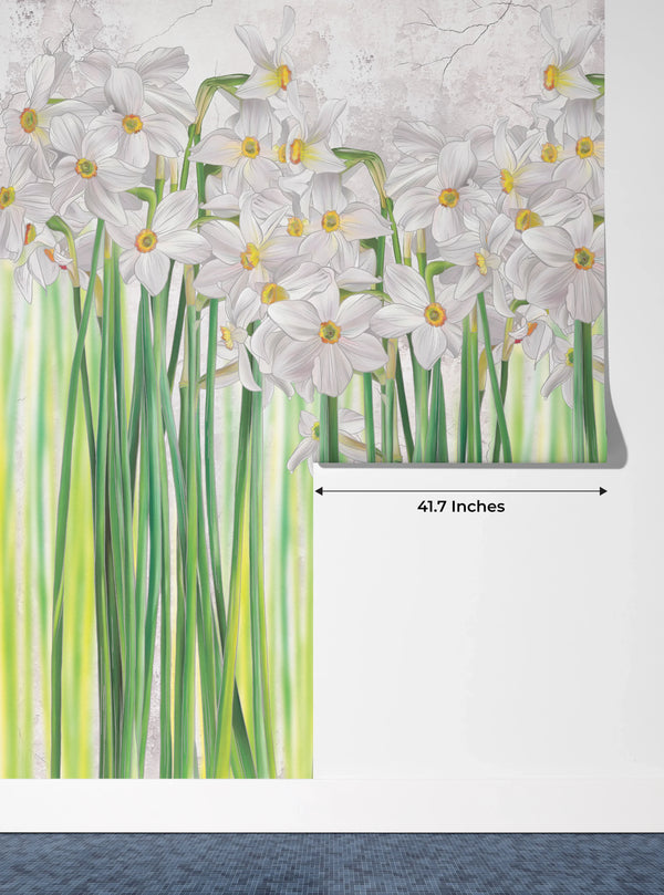 Daffodils Wallpaper, Floral Mural, Oversized Custom Size Wall Art, Non-Woven, Non-Adhesive, Modern Wall Paper, Removable