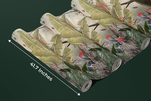Peacock Wallpaper, Tropical Leaves Wall Mural, Oversized Custom Size Wall Art, Non - Woven, Non - Adhesive, Modern Wall Paper, Removable - Adawall Wallpaper - Registered Trade Accounts Only, Wallpaper Wholesale Account - W77483 - Adawall Wholesale - Wallpaper Wholesaler