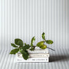 Silver Timeless Quilted Feel Wallpaper, Deep Embossed Chevron Basket Weave Wallcovering, Jute Design - Adawall Wallpaper - Registered Trade Accounts Only, Wallpaper Wholesale Account - 23206-3 - Adawall Wholesale - Wallpaper Wholesaler