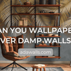 Can You Wallpaper Over Damp Walls? - Adawall Wallpaper -Registered Trade Accounts Only, Wallpaper Wholesale Account
