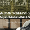 Can You Wallpaper Over Damp Walls? - Adawall Wallpaper -Registered Trade Accounts Only, Wallpaper Wholesale Account