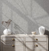 Gray Muse Plaster Texture Wallpaper, Natural Wallpaper, Modern & Minimalist Wall Covering, Modern Look Neutral Colors Glittering Wallcovering