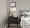 Light Beige Muse Venetian Plaster Wallpaper, Natural Wallpaper, Modern & Minimalist Wall Covering, Modern Look Neutral Colors Glittering Wallcovering