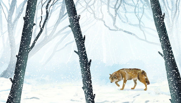 Winter Forest Wallpaper, Wolf Mural, Oversized Custom Size Wall Art, Non-Woven, Non-Adhesive, Modern Wall Paper, Removable