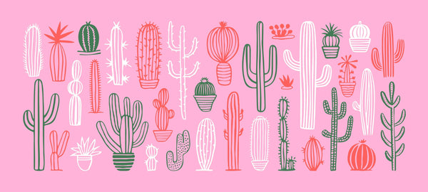 Hand Drawn Cactus Wallpaper, Pink Background Mural, Oversized Custom Size Wall Art, Non-Woven, Non-Adhesive, Modern Wall Paper, Removable