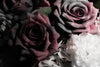 Beautiful Flowers Wallpaper, Dark Background Mural, Oversized Custom Size Wall Art, Non - Woven, Non - Adhesive, Modern Wall Paper, Removable - Adawall Wallpaper - Registered Trade Accounts Only, Wallpaper Wholesale Account - W77751 - Adawall Wholesale - Wallpaper Wholesaler