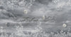 Celestial Moon Wall Mural, Moon Phases Gray Wallpaper, Large Space Custom Size Wall Covering, Non - Woven, Non - Pasted, Removable, Washable, Art - Adawall Wallpaper - Registered Trade Accounts Only, Wallpaper Wholesale Account - SE303-3 - Adawall Wholesale - Wallpaper Wholesaler