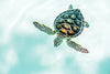 Cute Baby Turtle Wallpaper, Turquoise Water Mural, Oversized Custom Size Wall Art, Non - Woven, Non - Adhesive, Modern Wall Paper, Removable - Adawall Wallpaper - Registered Trade Accounts Only, Wallpaper Wholesale Account - W77611 - Adawall Wholesale - Wallpaper Wholesaler