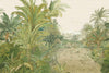 Elegant Forest Trees Green Wall Mural, Custom Wallpaper, Non - Adhesive, Washable, Extra Large, Removable, Jungle, Living Room, Cafe Shop, Commercial, Residential - Adawall Wallpaper - Registered Trade Accounts Only, Wallpaper Wholesale Account - A308-1 - Adawall Wholesale - Wallpaper Wholesaler