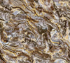 Large Marble Wall Mural, Marbled Wall Paper, Oversized Gold Wall Art, Non - Woven, Non - Pasted, Removable, Large Abstract Wall Print Art - Adawall Wallpaper - Registered Trade Accounts Only, Wallpaper Wholesale Account - FJ319-1 - Adawall Wholesale - Wallpaper Wholesaler