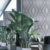 Luxurious Argyle Pattern Embossed Wallpaper, Gray, Blue Diamond Shape 3D Textured Shimmering, Geometric Design - Adawall Wallpaper - Registered Trade Accounts Only, Wallpaper Wholesale Account - 1213-4 - Adawall Wholesale - Wallpaper Wholesaler