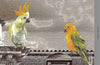 Modern Animals Building Wallpaper, Beige Jungle Wall Mural, Custom Size Architecture Wall Covering, Non - Woven, Non - Adhesive, Washable, Removable - Adawall Wallpaper - Registered Trade Accounts Only, Wallpaper Wholesale Account - FJ308-3 - Adawall Wholesale - Wallpaper Wholesaler