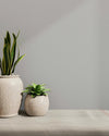 Soft Grey Wallpaper, Textured Wallpaper,Natural Wallpaper, Modern & Minimalist Wall Covering,Modern Look Neutral Colors Glittering Wallcovering - Adawall Wallpaper - Registered Trade Accounts Only, Wallpaper Wholesale Account - 24202-3 - Adawall Wholesale - Wallpaper Wholesaler