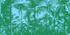Tropical Trees Wallpaper, Landscape Mural, Oversized Custom Size Wall Art, Non - Woven, Non - Adhesive, Modern Wall Paper, Removable - Adawall Wallpaper - Registered Trade Accounts Only, Wallpaper Wholesale Account - W78152 - Adawall Wholesale - Wallpaper Wholesaler