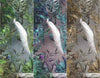 White Chinoiserie Peacock Floral Tropical Custom Wallpaper, Birds Wall Mural, Non - woven Non - Adhesive Wall Paper, Luxury, Large, Removable, Washable Wall Art - Adawall Wallpaper - Registered Trade Accounts Only, Wallpaper Wholesale Account - A301-1 - Adawall Wholesale - Wallpaper Wholesaler